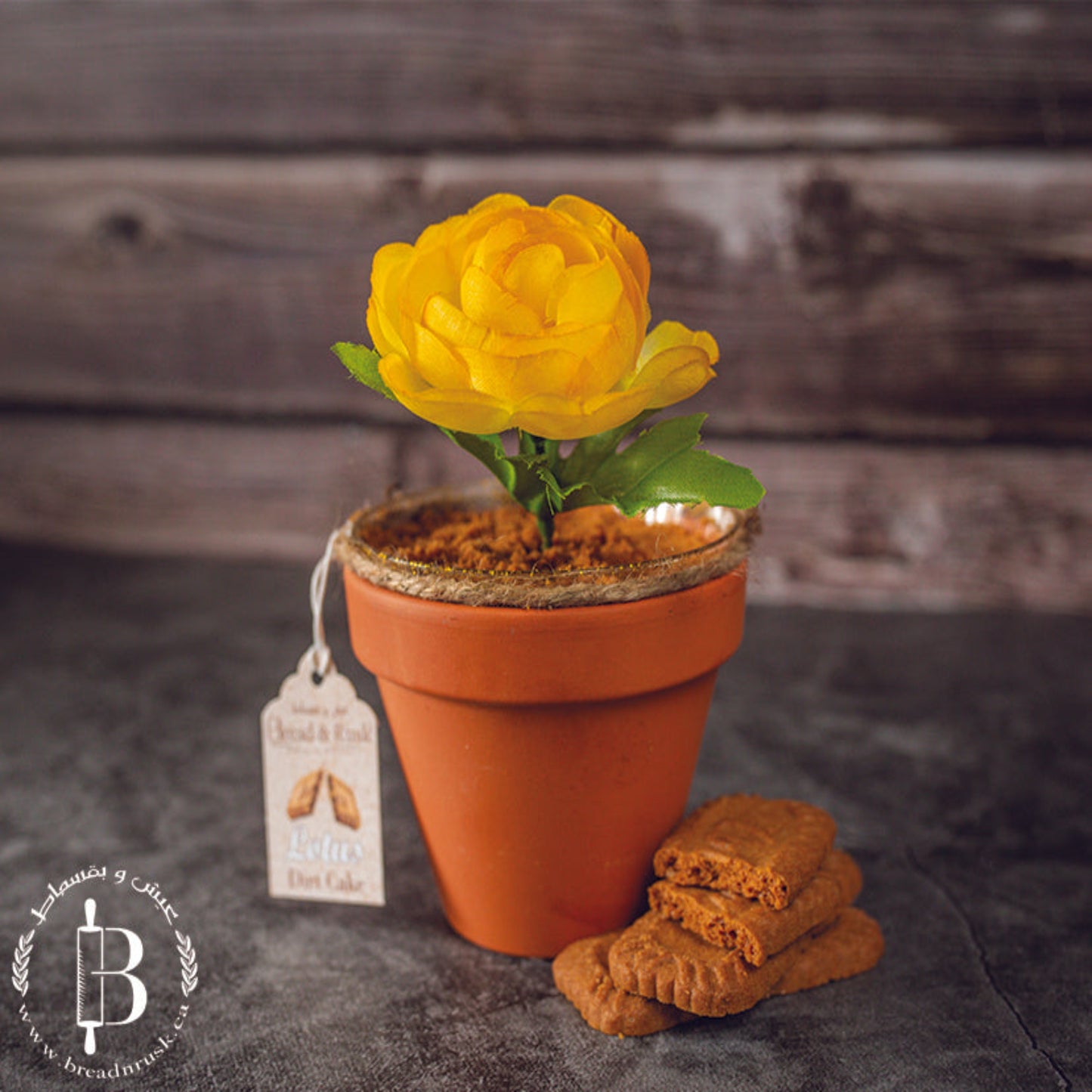 Dirt Cake (Small)