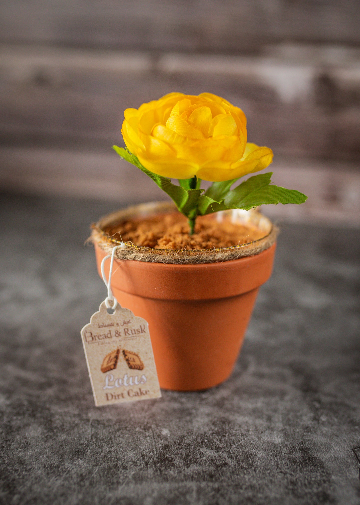 Dirt Cake (Small)