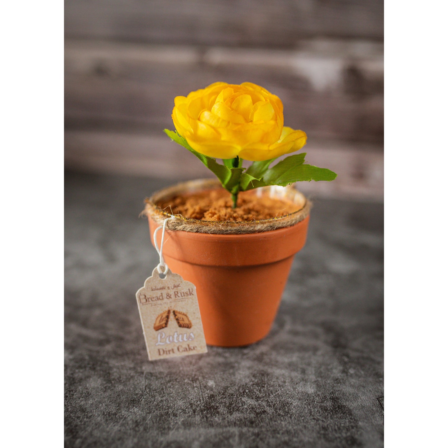 Dirt Cake (Small)