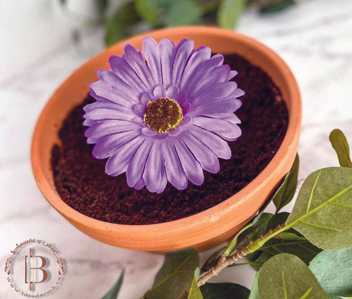 Dirt Cake (Family Size)
