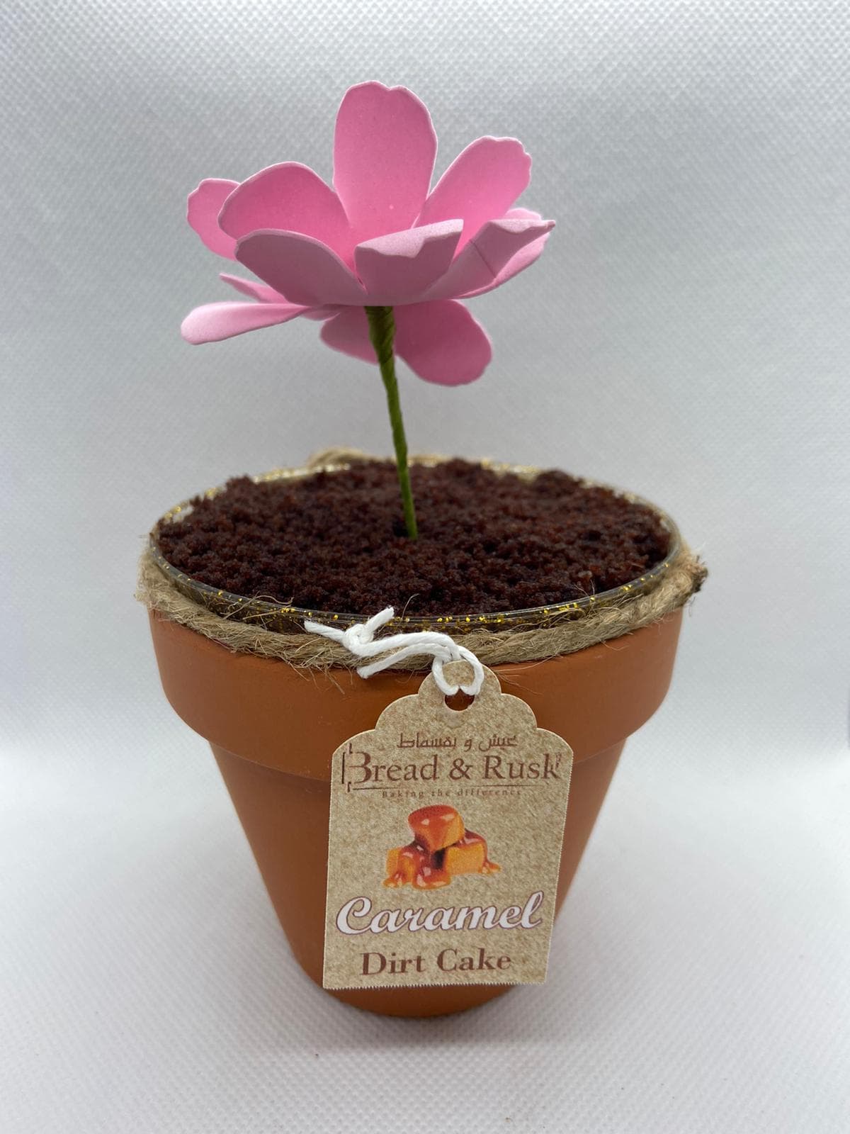 Dirt Cake (Small)