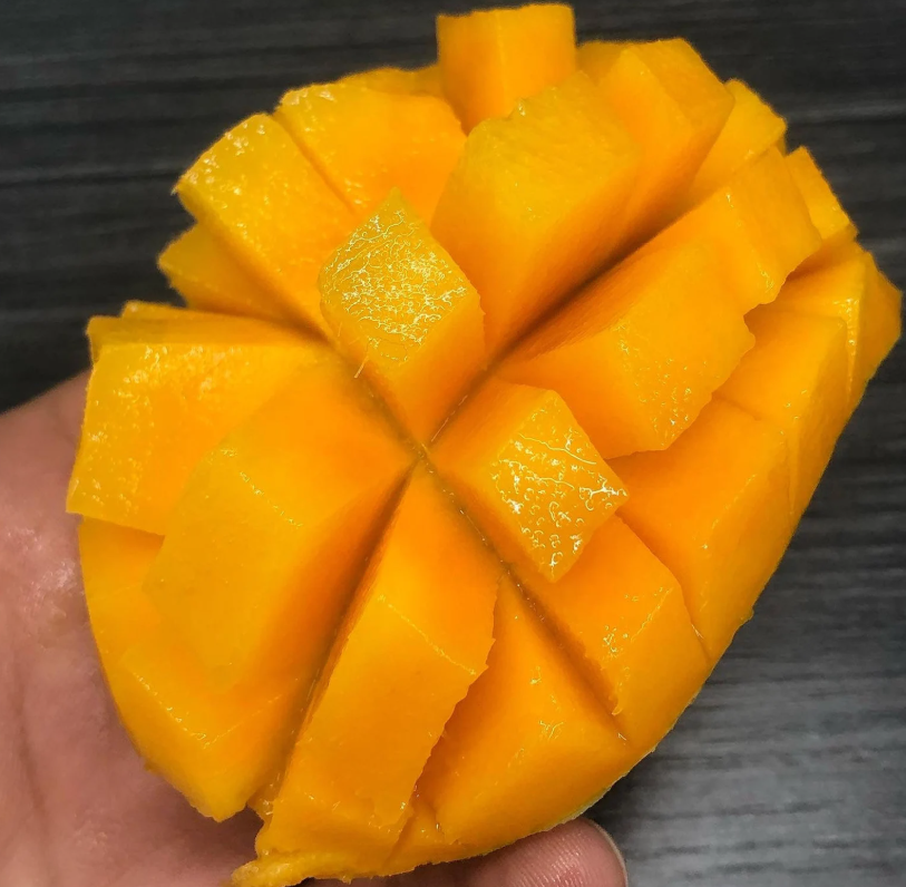 Ashtota (Rice Pudding with Milk cake)