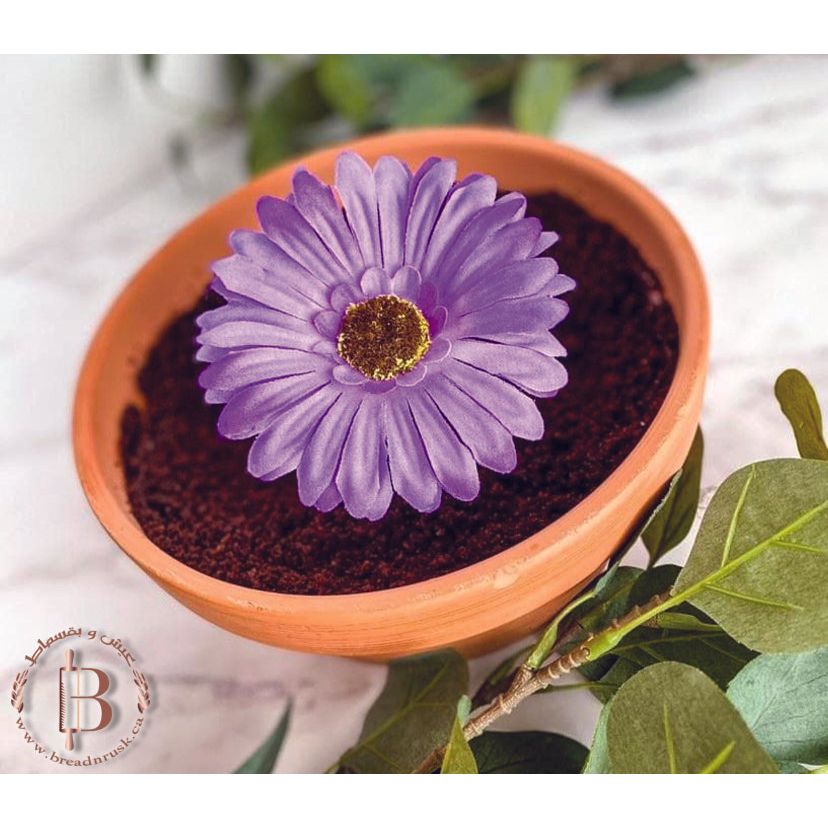 Dirt Cake (Family Size)